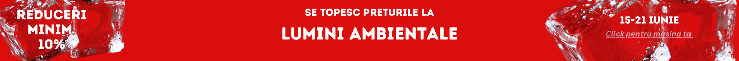 SLIM BF Lumini AMB 2024
