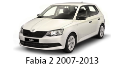 Lumini Ambientale Skoda Fabia gen 2 2007-2013