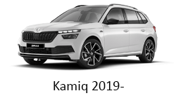 Lumini Ambientale Skoda Kamiq 2019-