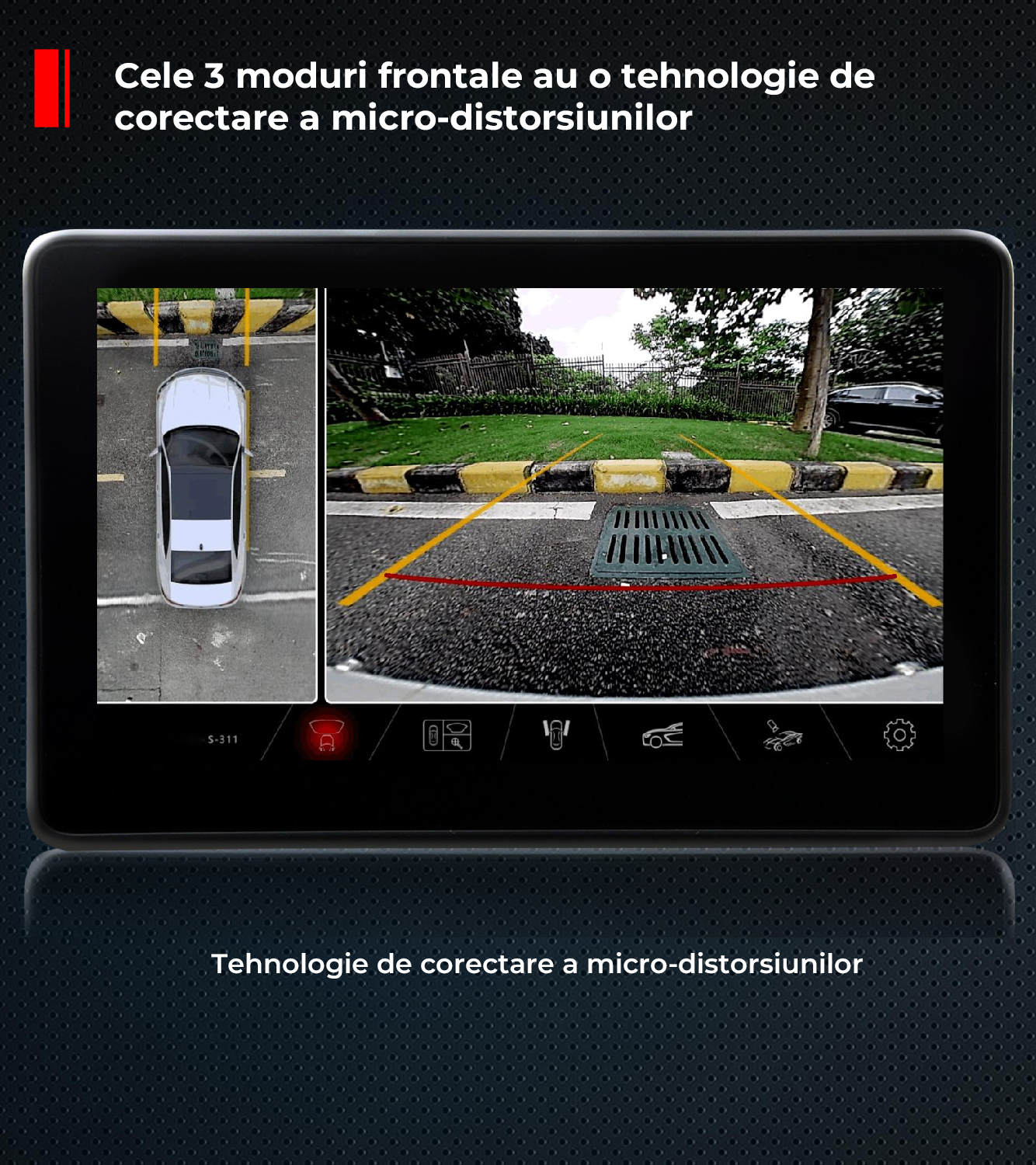 Poza 1