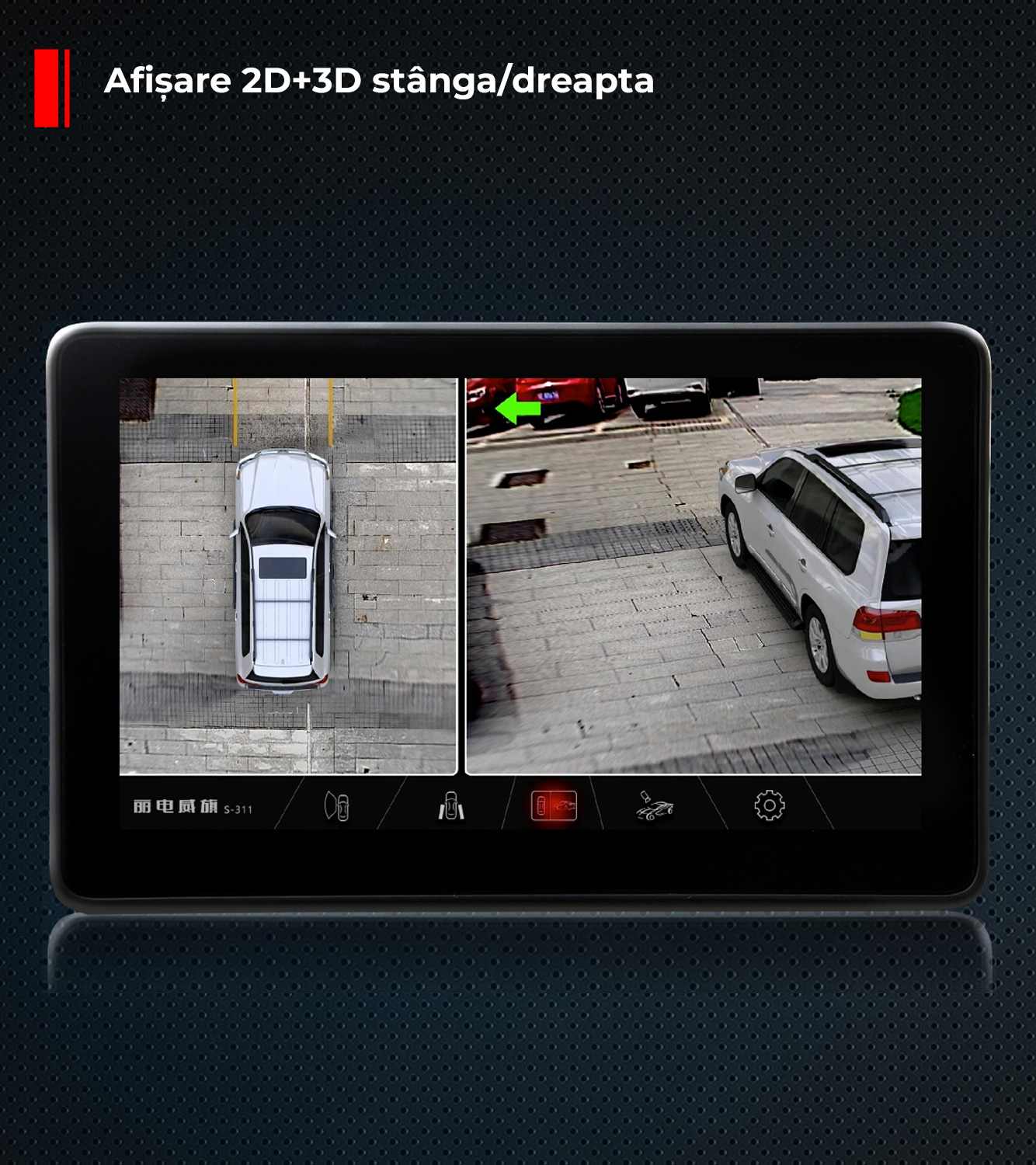 Poza 1