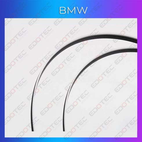Lumini ambientale plafon sau geamuri BMW AMB-BM-ROOFTOP