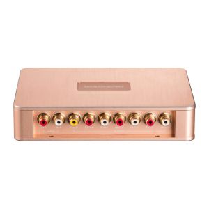 Amplificator auto Goldhorn P1