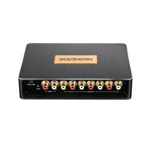 Amplificator auto Goldhorn P2 PRO