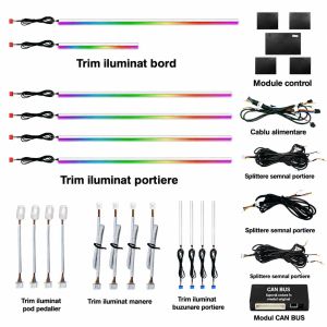 Lumini ambientale Toyota Camry XV50 2011-2019 NIGHTVIBE, conectare Can-Bus