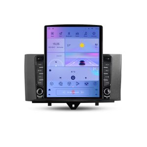Navigatie Smart For Two 2010-2015 G-Smart10 ecran tip TESLA 9.7